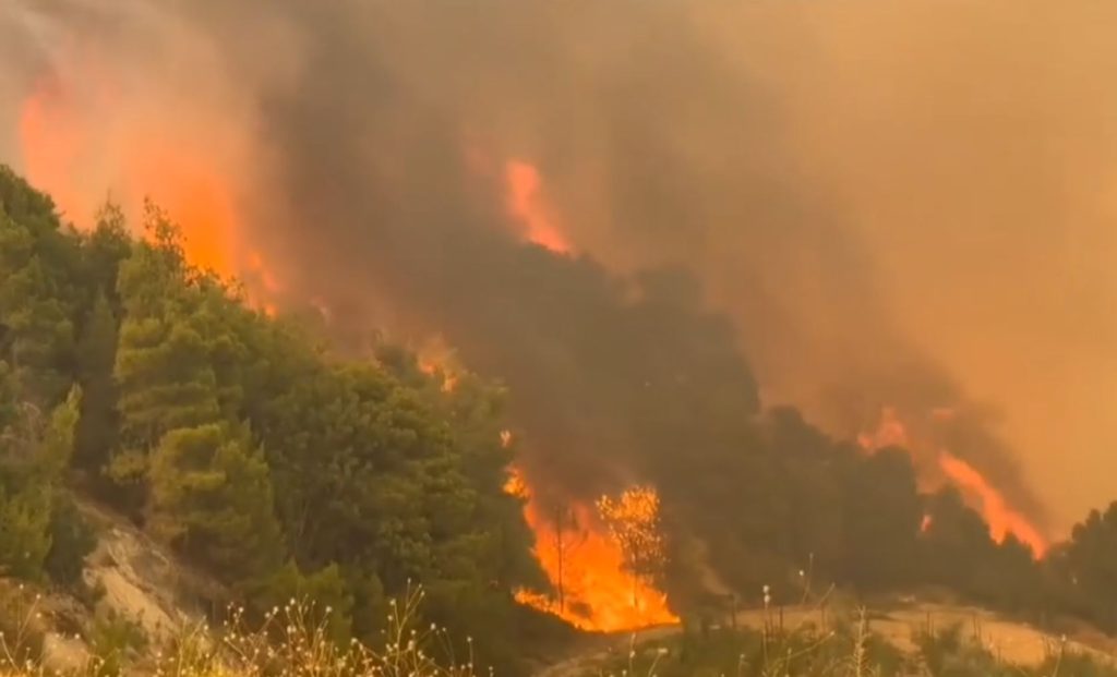 Πυροσβεστική: 42 οι αγροτοδασικές πυρκαγιές που ξέσπασαν το τελευταίο 24ωρο στη χώρα
