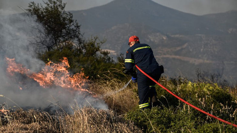 Καστοριά: Φωτιά ξέσπασε σε θαμνώδη περιοχή