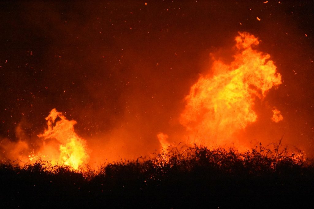 «Αρνητικός» αριθμός για το φετινό καλοκαίρι – 26 αγροτοδασικές πυρκαγιές μέσα σε 24 ώρες