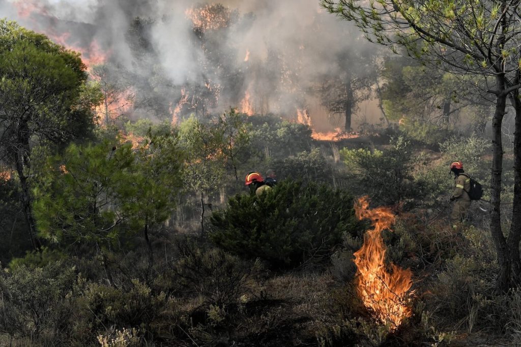 Κιλκίς: Φωτιά σε αγροτοδασική έκταση