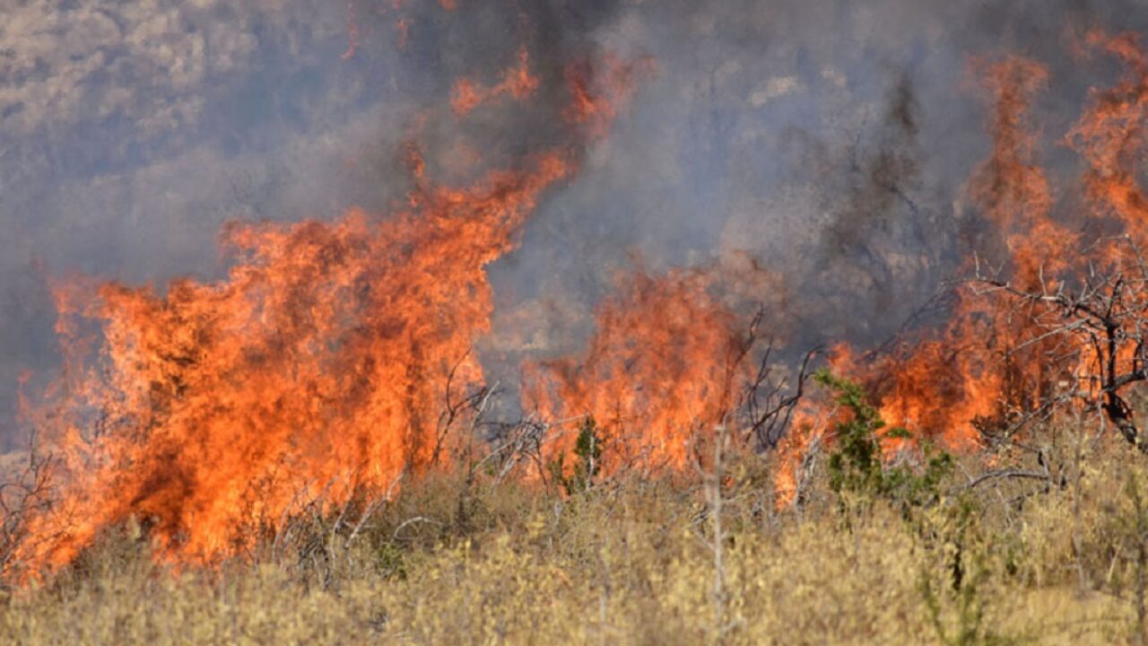 Φωτιά σε περιφραγμένο οικόπεδο στο Κόμμα Λαμίας (φώτο)