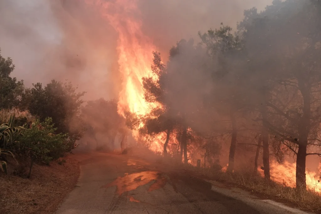 Σμύρνη: 3 νεκροί από δασική πυρκαγιά – Αδιευκρίνιστο πώς ξεκίνησε η πυρκαγιά