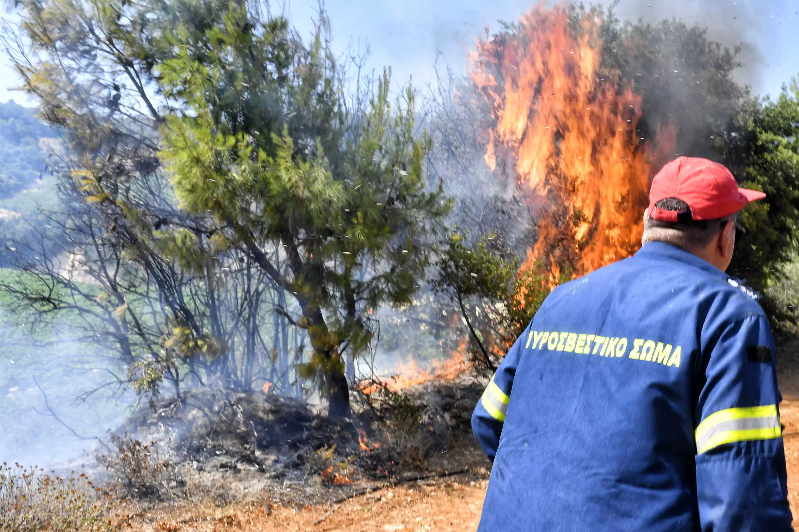 Φωτιά σε δασική έκταση στην Καλαμίτσα Καβάλας (βίντεο)