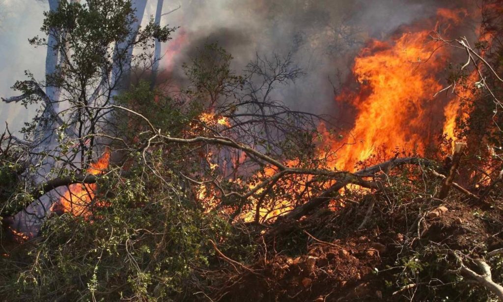 Πυροσβεστική: 45 οι πυρκαγιές που ξέσπασαν το τελευταίο 24ωρο στη χώρα
