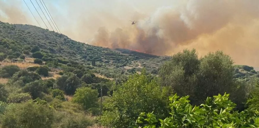 Πυρκαγιά στην Μεσσηνία κοντά σε σπίτια – Ρίψεις νερού από αεροπλάνα και αεροσκάφος