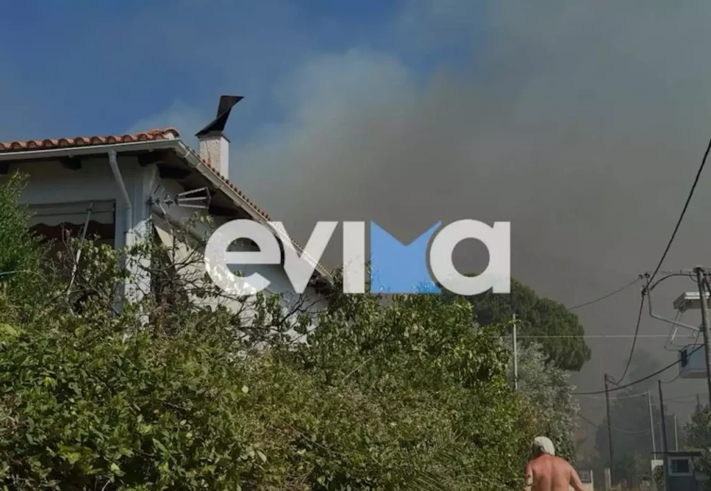 Υπό έλεγχο τέθηκε η φωτιά που ξέσπασε στον Αλμυροπόταμο Εύβοιας (βίντεο) (upd)