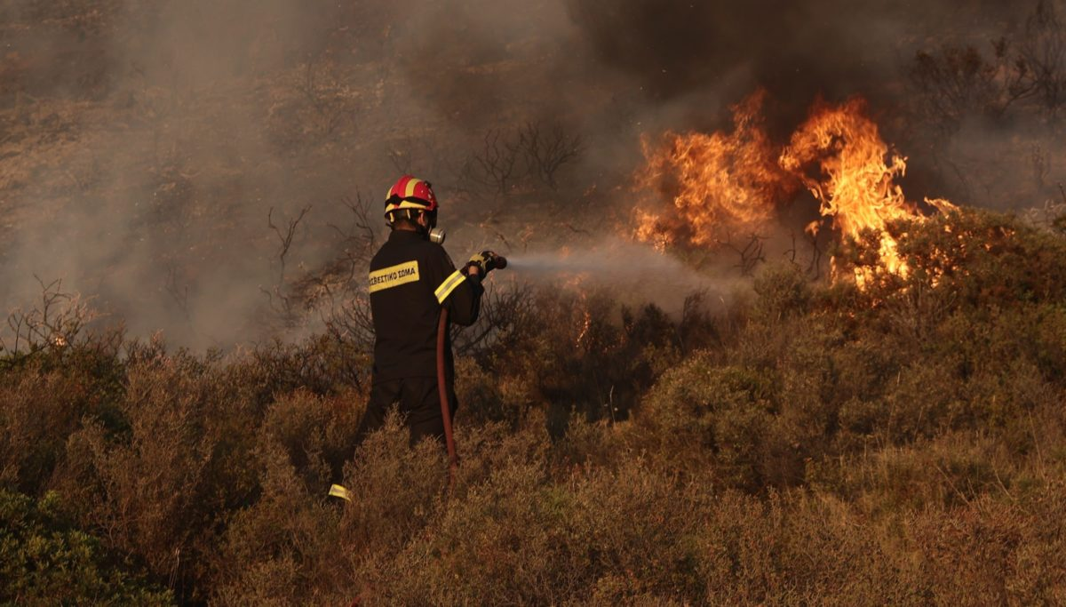 Φωτιά σε χαμηλή βλάστηση στη Λευκόπετρα Ξάνθης