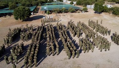 Ολοκληρώθηκε η θερινή εκπαίδευση της Στρατιωτικής Σχολής Ευελπίδων (φώτο-βίντεο)