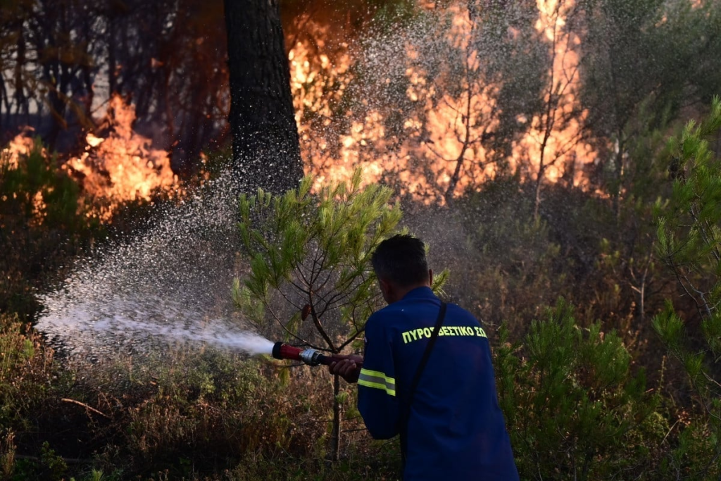 Πυροσβεστική: 33 οι αγροτοδασικές πυρκαγιές που ξέσπασαν το τελευταίο 24ωρο στη χώρα