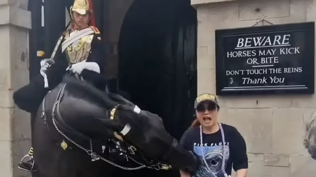 Η στιγμή που τουρίστρια λιποθυμά όταν άλογο της βρετανικής βασιλικής φρουράς τη δαγκώνει (βίντεο)