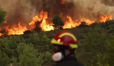 Αποζημιώσεις για τις πυρκαγιές του 2021: Πως θα καταβληθούν στους αγρότες – Τι αναφέρει η υπουργική απόφαση