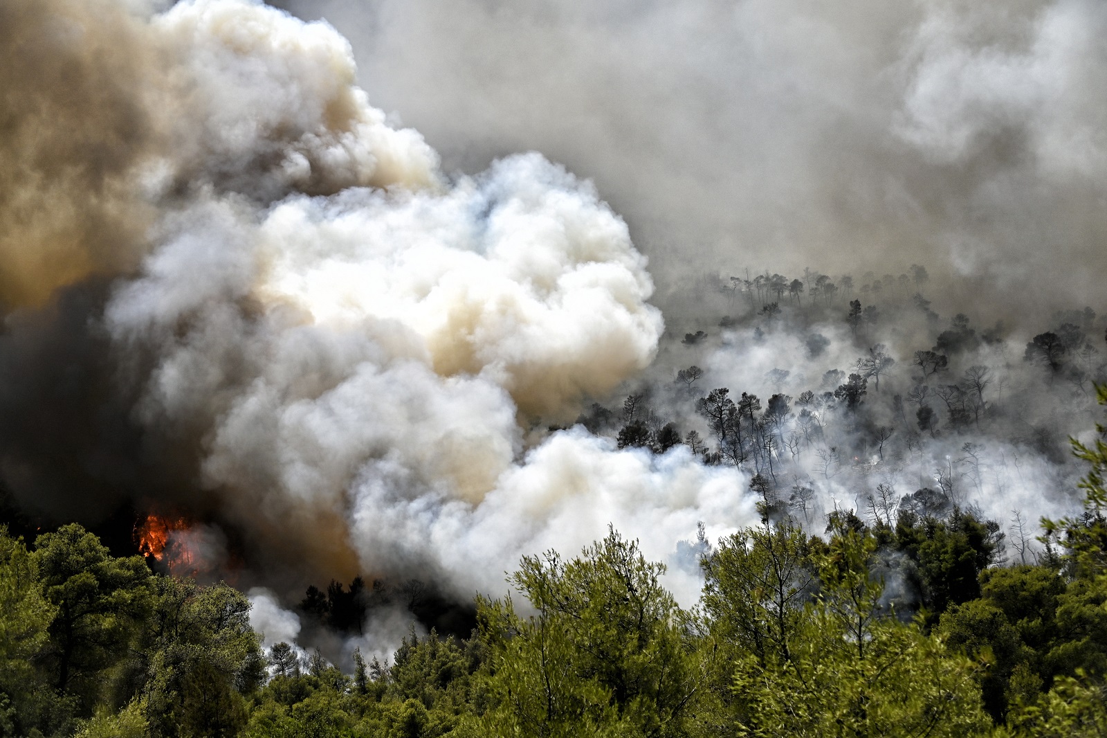 Χανιά: Συνελήφθη 72χρονος ως υπαίτιος πρόκλησης πυρκαγιάς στην περιοχή Αγριλές