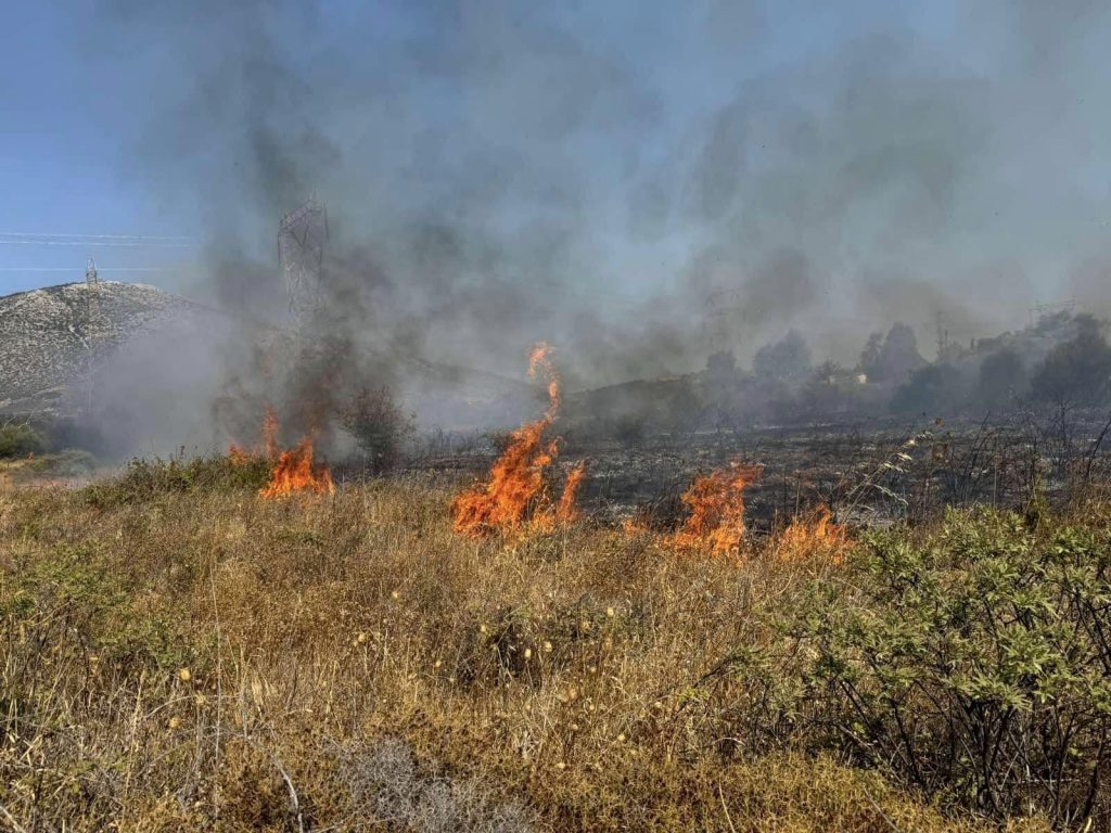 Yπό μερικό έλεγχο η φωτιά που ξέσπασε στον Αυλώνα Μεσσηνίας (upd) 