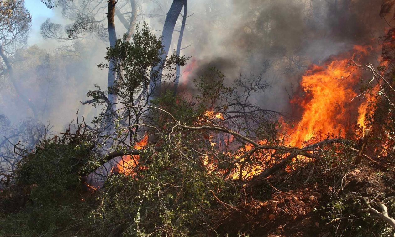 Φωτιά στην Κοζάνη: Καίγεται δασική έκταση στην περιοχή Κάτω Ρολόϊ