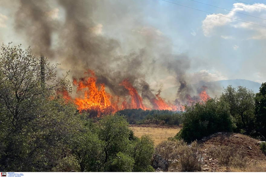 Αθήνα: Φωτιά ξέσπασε σε βιομηχανικό χώρο στο Μενίδι (βίντεο)