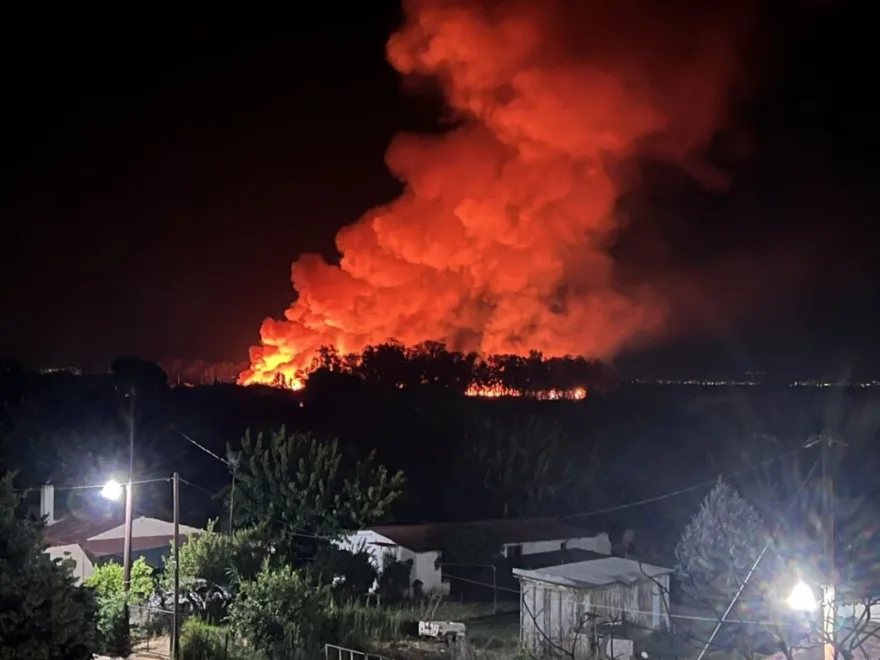 Φωτιά στο Μεσολόγγι – Ισχυρή κινητοποίηση της Πυροσβεστικής 