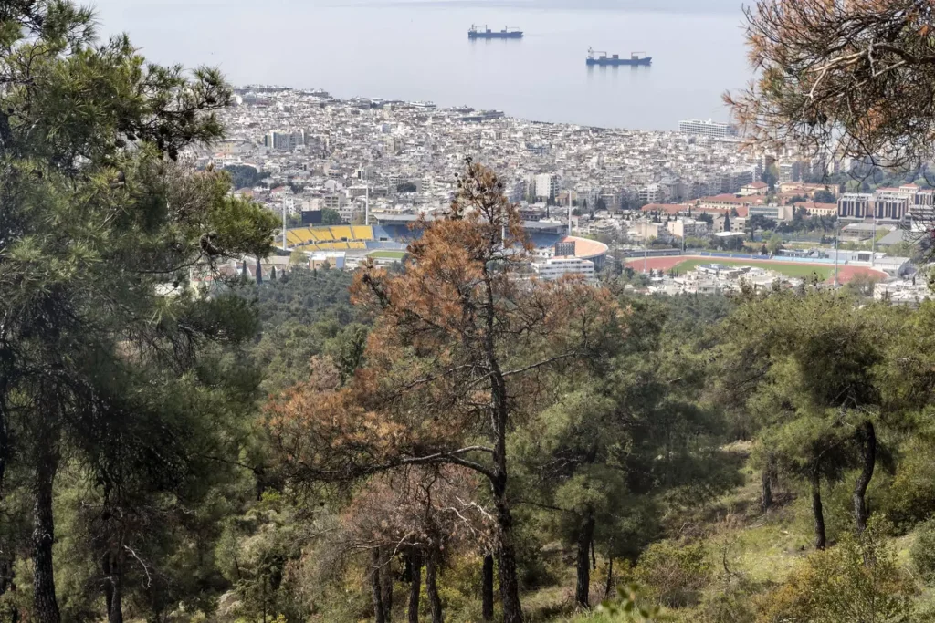 Θεσσαλονίκη: Απαγόρευση κυκλοφορίας σε περιοχές της πόλης λόγω υψηλού κινδύνου πυρκαγιάς