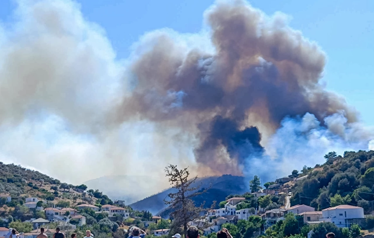 Φωτιά στα Σκούρτα Βοιωτίας – Καίγεται δασική έκταση 