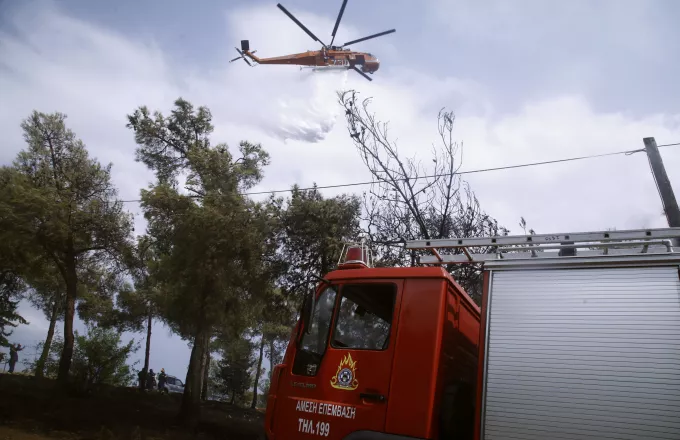 Φωτιά σε αγροτοδασική έκταση στον Δομοκό Φθιώτιδας – Επιχειρούν επίγειες και εναέριες δυνάμεις