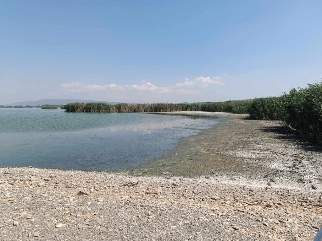 Λίμνη Κορώνεια: Λειψυδρία και παρατεταμένη ανομβρία  – «Εκπέμπει» SOS (βίντεο)