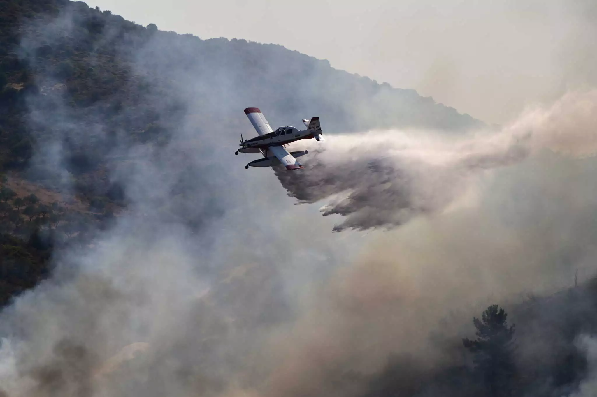 Οριοθετήθηκε η πυρκαγιά που ξέσπασε στη Σαγιάδα Θεσπρωτίας (upd)