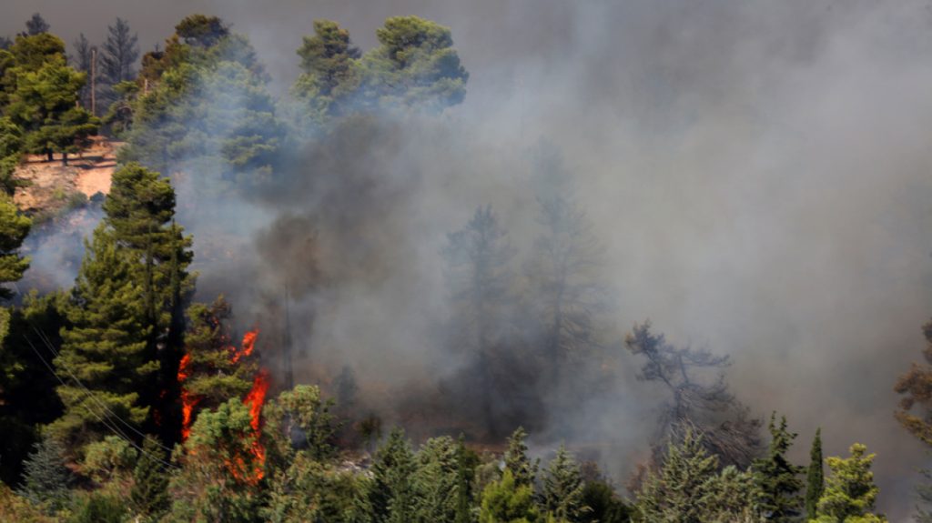 Φωτιά στον Βαρνάβα: «Εξαιρετικά δύσκολες συνθήκες – Ξηρασία και άνεμοι δυσχεραίνουν την κατάσβεση» λέει ο Ε.Λέκκας 