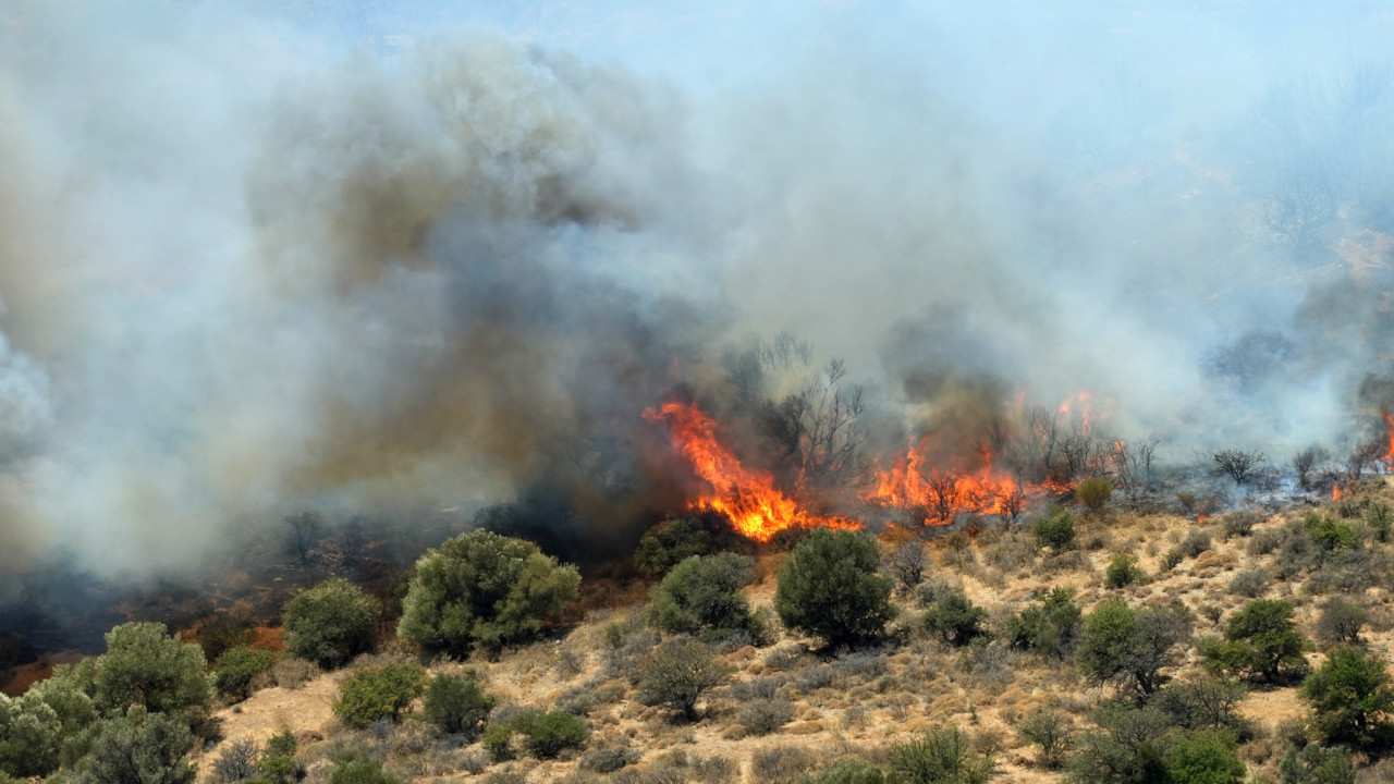 Θεσπρωτία: Φωτιά σε ορεινή περιοχή στην περιοχή Τσαμαντάς και στην δασική περιοχή στην Κρανέα Πέλλας