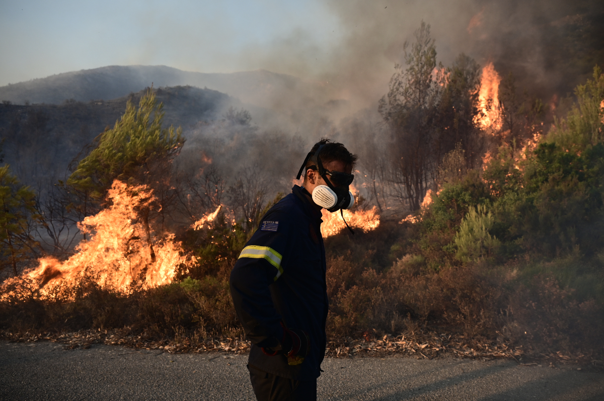 Κάτοικος Βριλησσίων: «Τώρα που σβήσαμε τη φωτιά ήρθε το πυροσβεστικό»