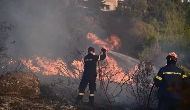 Ερώτηση ΚΚΕ στην Κομισιόν για τη φωτιά στην Αττική – «Κατέρρευσε με πάταγο το κυβερνητικό αφήγημα»