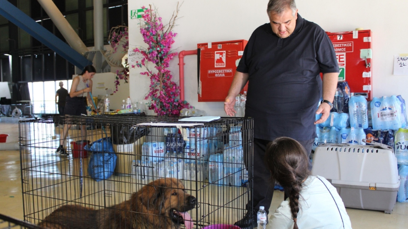 Στα αποκαΐδια της Αττικής τώρα υπουργοί ευχαριστούν εθελοντές και υπόσχονται έργα αναστήλωσης από κατασκευαστική εταιρεία