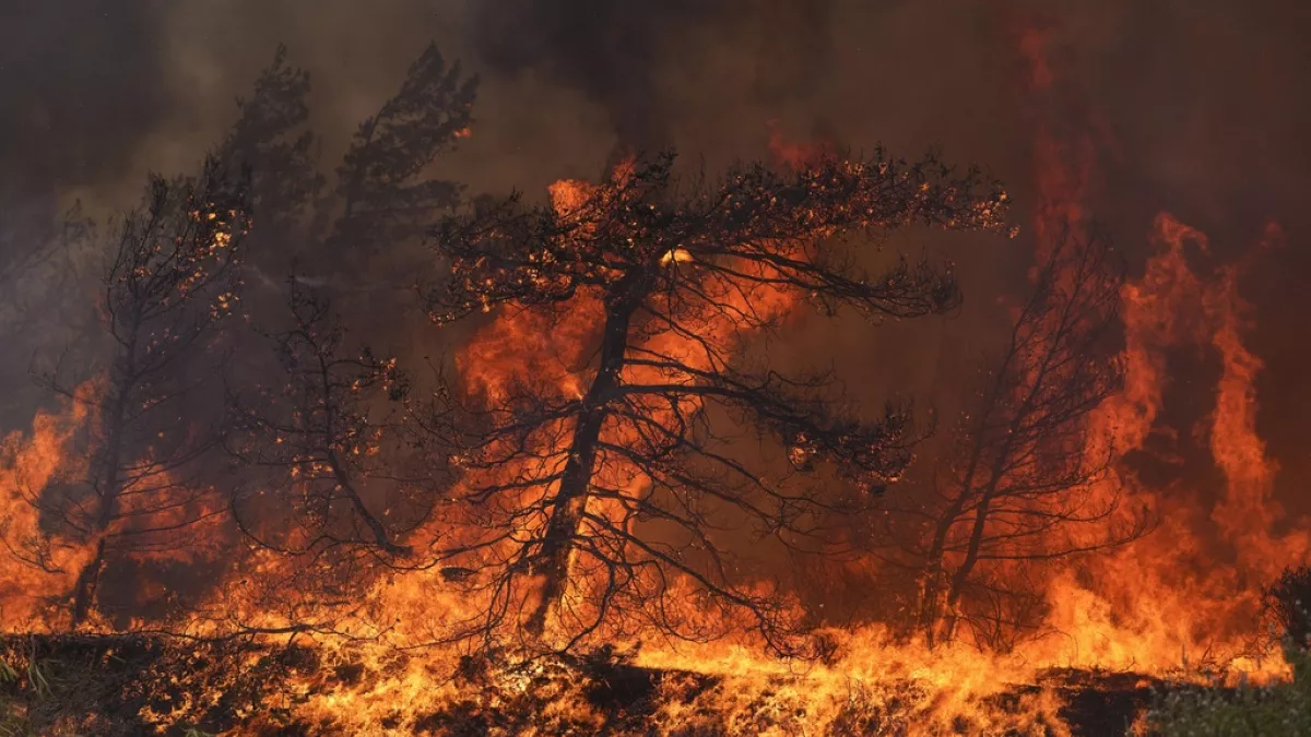 Υψηλός κίνδυνος πυρκαγιάς σε 14 περιοχές τον Δεκαπενταύγουστο