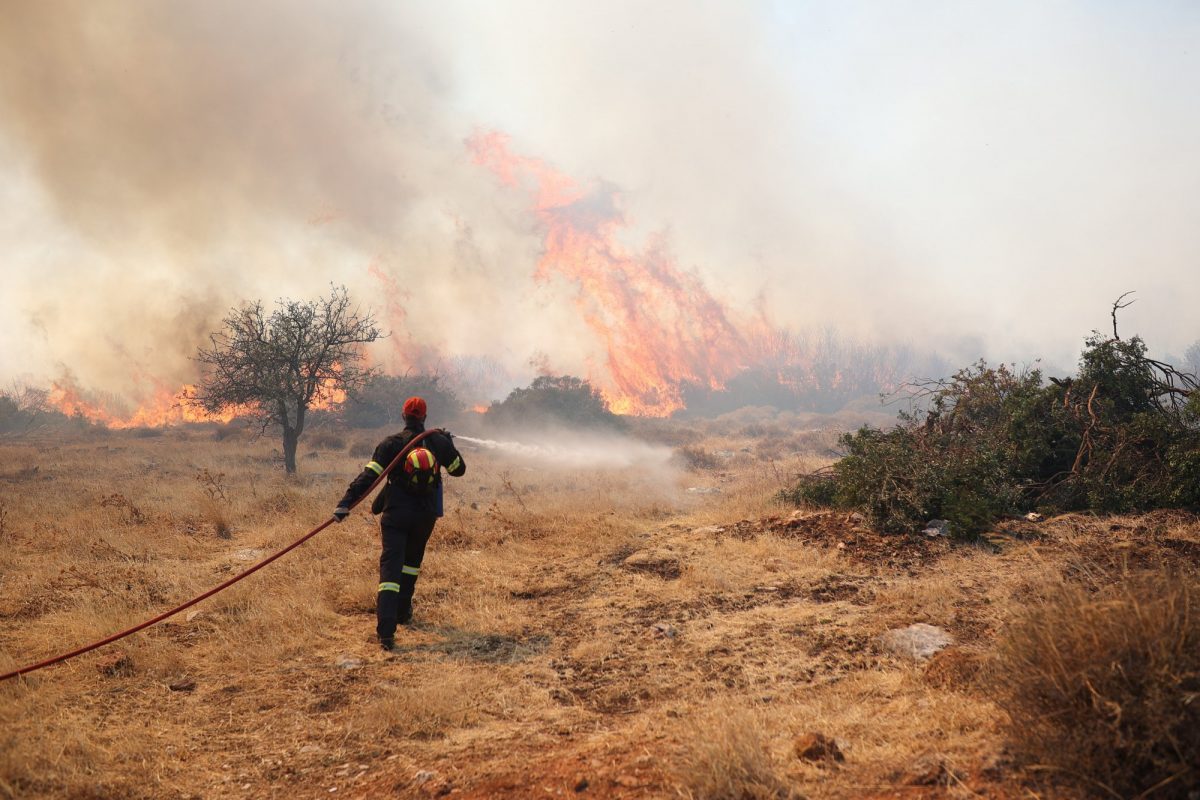 Εθελοντής πυροσβέστης για φωτιά στην ΒΑ Αττική: «Το κράτος δεν κάνει τίποτα – Οι πολιτικοί θέλουν να καταστρέψουν την Ελλάδα»