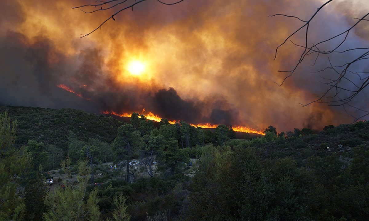 Οι πυρκαγιές στην Αττική οδηγούν την περιοχή προς ερημοποίηση