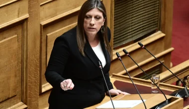 Ζ.Κωνσταντοπούλου: «Η κυβέρνηση κατάφερε να κινδυνεύουν άνθρωποι μέσα στην Αθήνα από την πυρκαγιά»