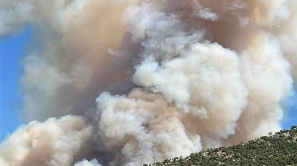 Ανεξέλεγκτη η φωτιά στους Φιλιάτες – Εκκενώθηκε χωριό (upd)