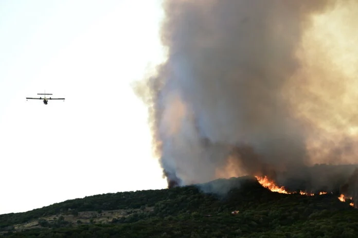 Δύο πύρινα μέτωπα στην Εύβοια – Ισχυρές δυνάμεις της Πυροσβεστικής στα σημεία