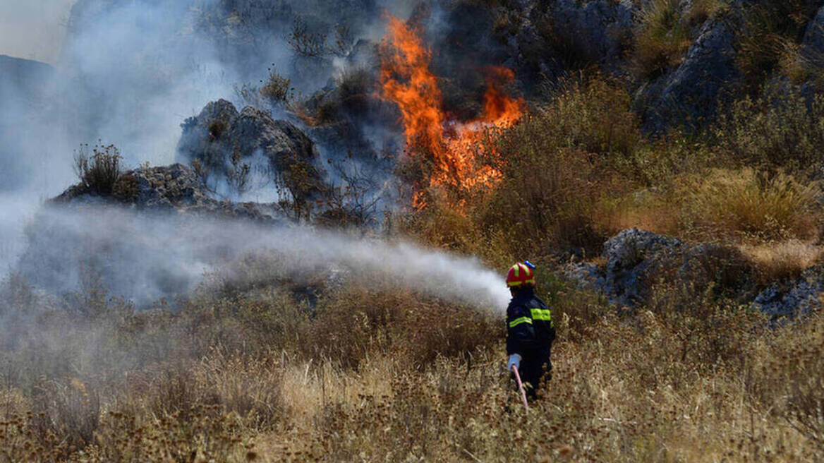 Φωτιά στην Παυλιάδα Αιτωλοακαρνανίας – Ισχυρή κινητοποίηση της Πυροσβεστικής 