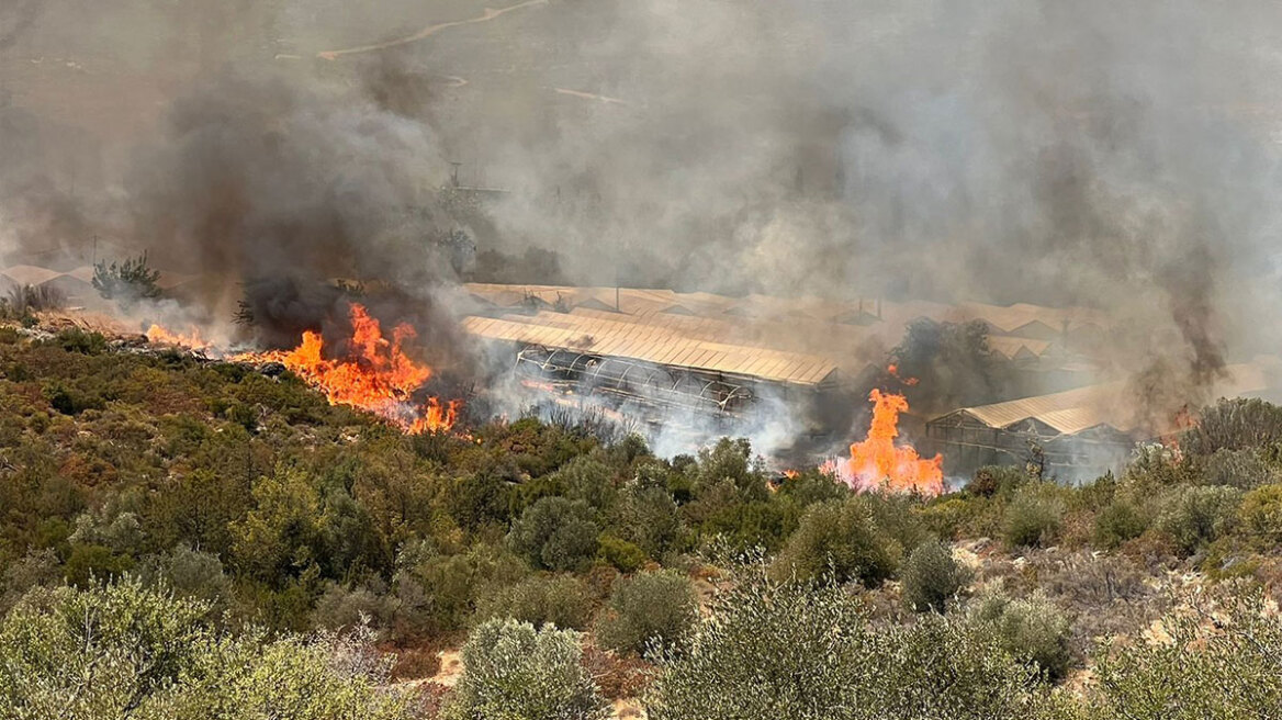 Φωτιά στον Μαραθώνα – Επιχειρούν τρία ελικόπτερα