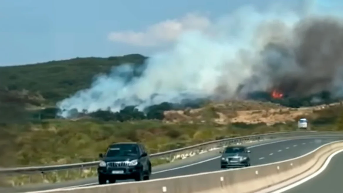 Πυρκαγιά σε δασική έκταση στην περιοχή Βασαίικα Ιωαννίνων – Στο σημείο επιχειρούν 30 πυροσβέστες 