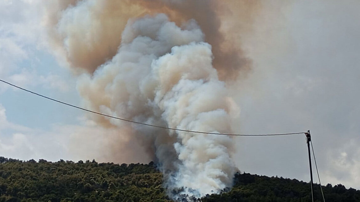 Την Τετάρτη θα απολογηθεί ο 80χρονος για τους εμπρησμούς στα Γλυκά Νερά