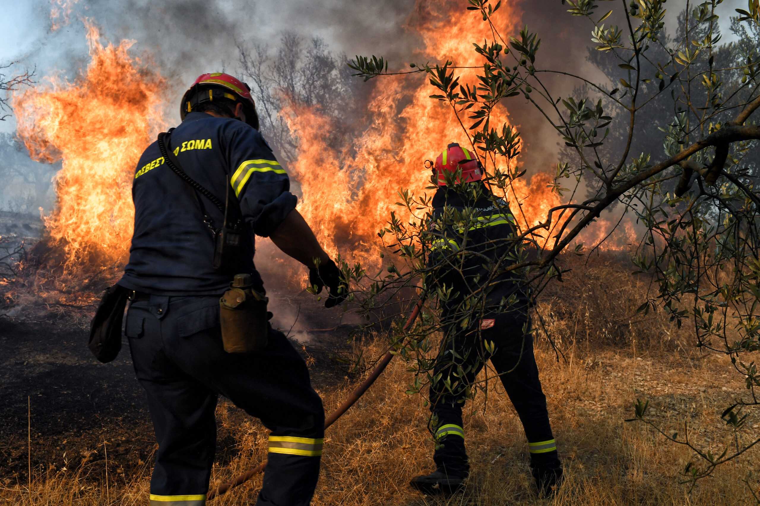 Φωτιά στον Ασπρόπυργο: 4 πυροσβέστες στο νοσοκομείο «Αττικόν» με αναπνευστικά προβλήματα