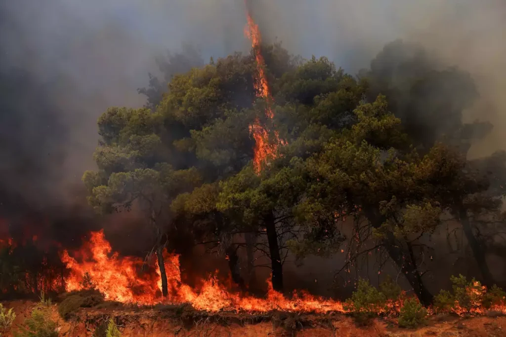 Θεσσαλονίκη:  Φωτιά στο Χορτιάτη – Σηκώθηκε ελικόπτερο