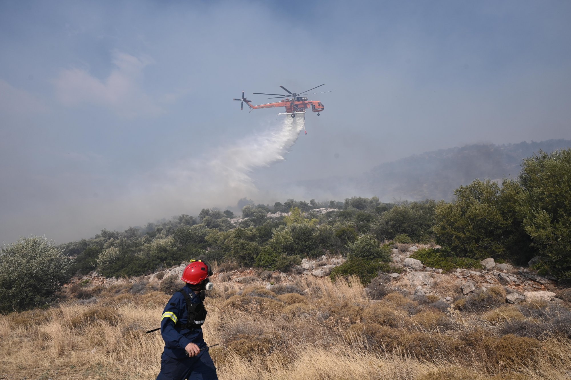 Φθιώτιδα: Ελεγχόμενη η φωτιά που ξέσπασε σε δασική έκταση – Τραυματίστηκε ελαφρά ένας πυροσβέστης (upd) 