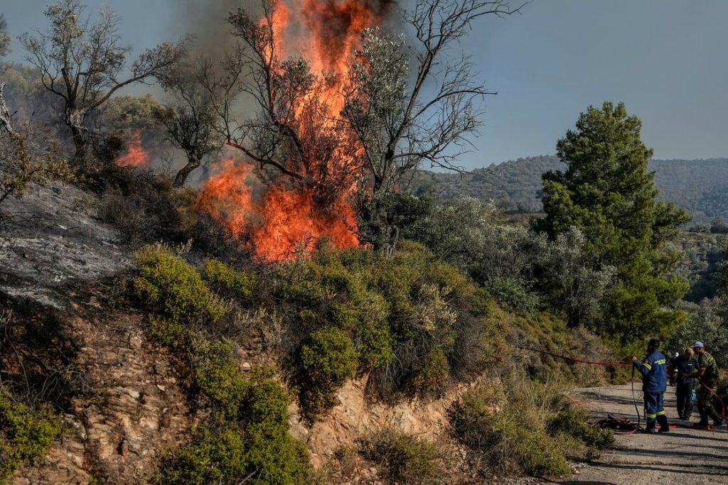 Λακωνία: Φωτιά σε δασική έκταση στην περιοχή Καλύβια Σοχάς