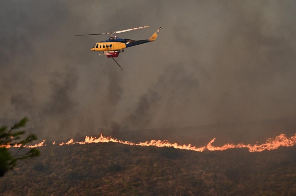 Τέσσερα κυνηγόσκυλα κάηκαν ζωντανά σε φωτιά που ξέσπασε στη Ρόδο 