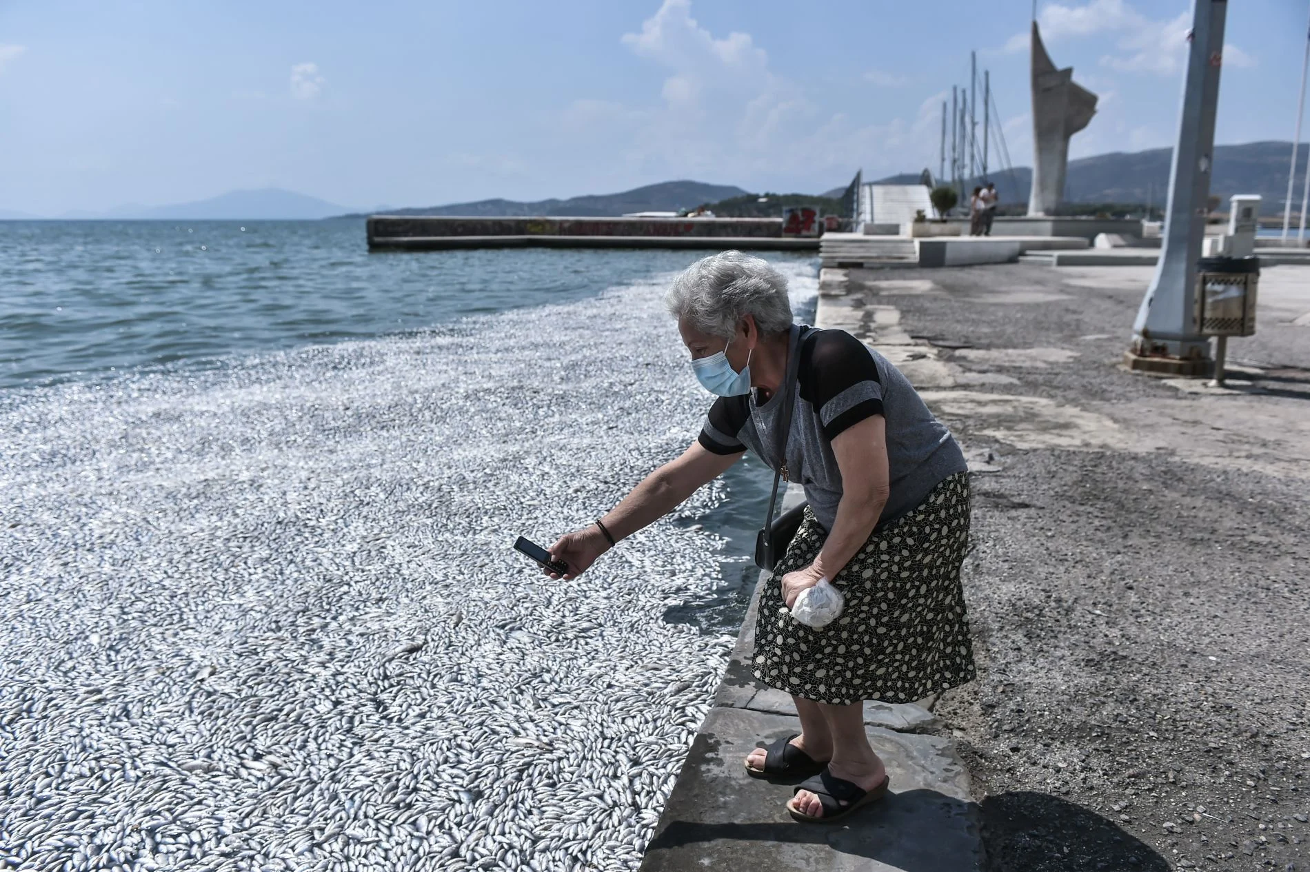 Βόλος: Τα νεκρά ψάρια έβαλαν λουκέτο στη εστίαση