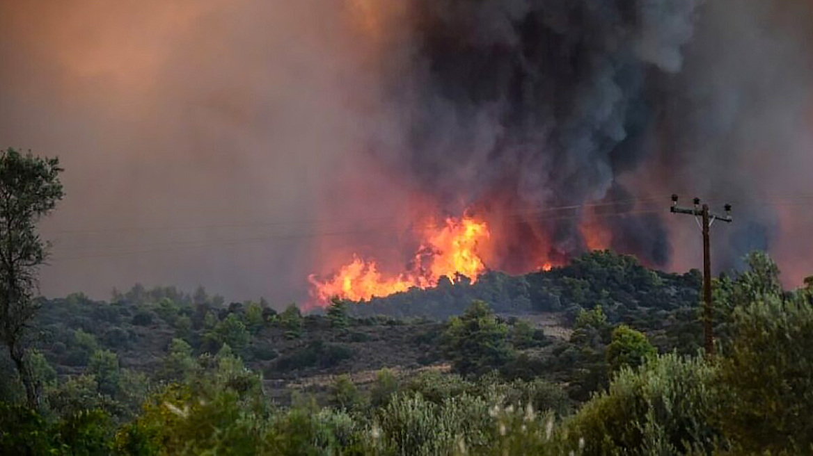 Πυρκαγιά σε δασική έκταση στην Φθιώτιδα – Κινητοποιήθηκαν εναέρια μέσα