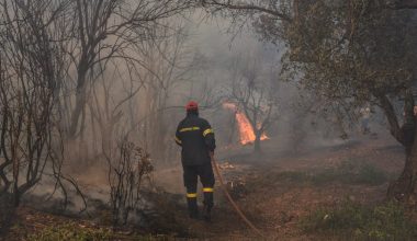 Πυροσβεστική: 27 αγροτοδασικές φωτιές ξέσπασαν σήμερα σε όλη τη χώρα