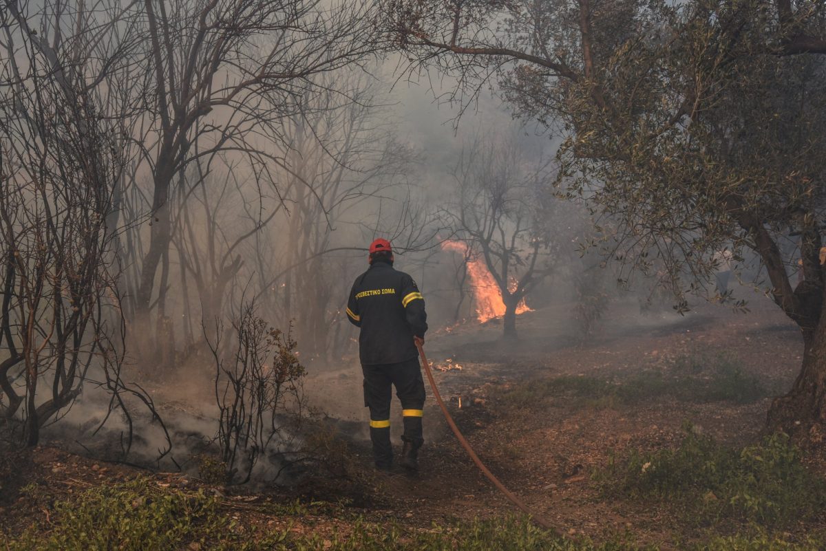 Πυροσβεστική: 27 αγροτοδασικές φωτιές ξέσπασαν σήμερα σε όλη τη χώρα