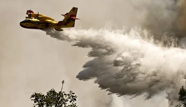 Πυροσβεστική: 38 πυρκαγιές το τελευταίο 24ωρο ανά την επικράτεια